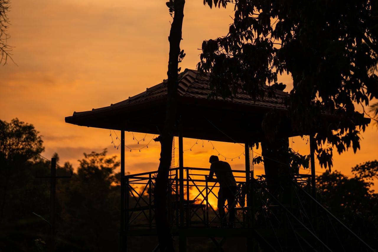 Zostel Coorg, Madikeri Hostel Ngoại thất bức ảnh